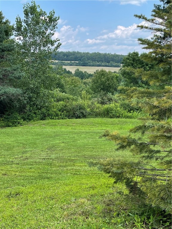 3651 Roloson Hill Road Dix, NY 14864 - Photo 20 of 23