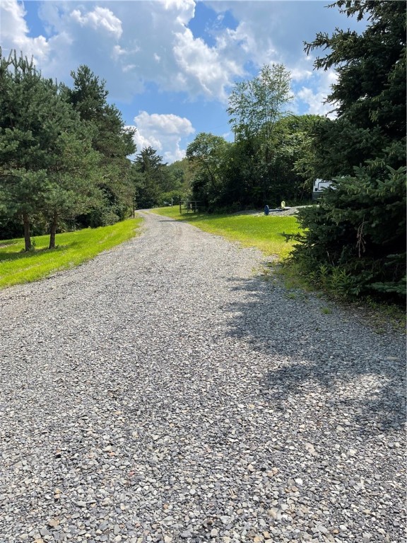 3651 Roloson Hill Road Dix, NY 14864 - Photo 2 of 23