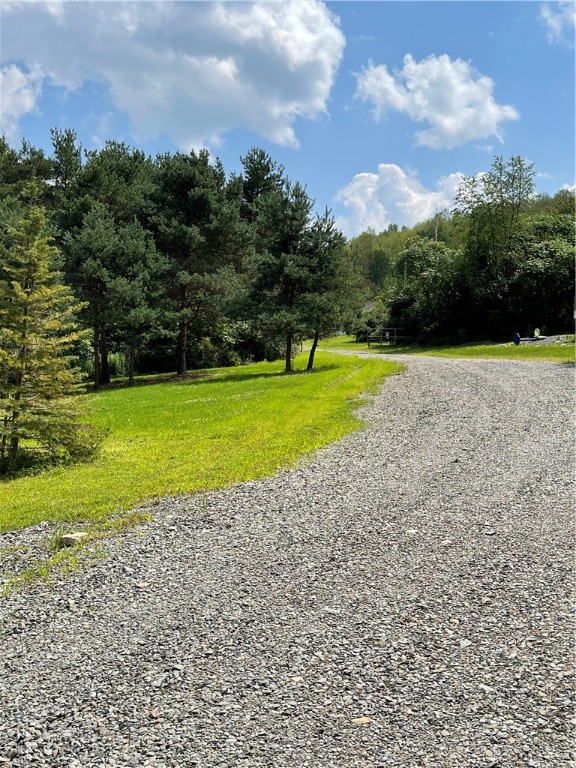 3651 Roloson Hill Road Dix, NY 14864 - Photo 4 of 23