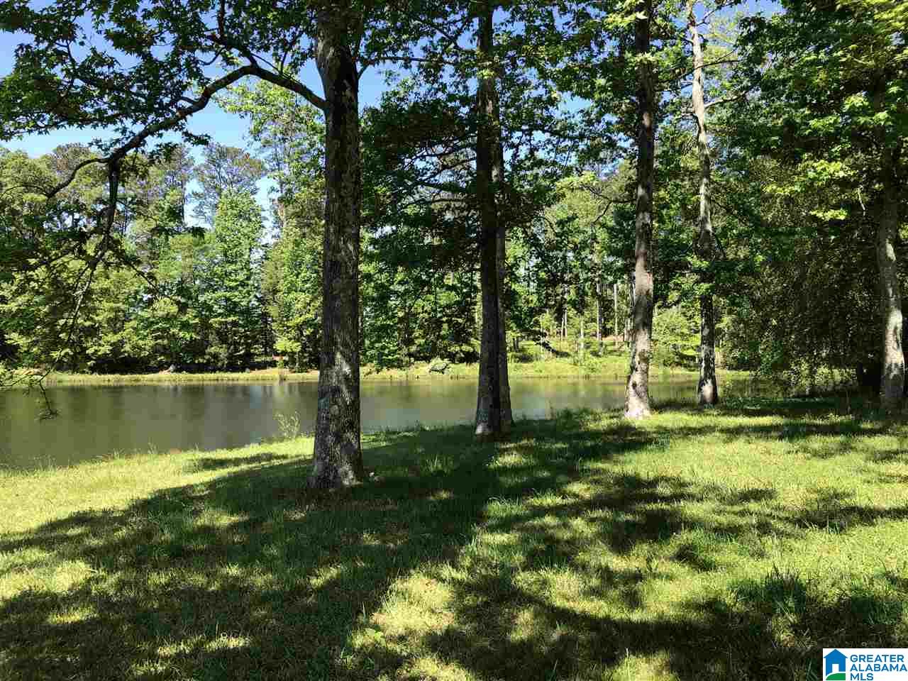 2676 Airport Road Oneonta, AL 35121 - Photo 7 of 14