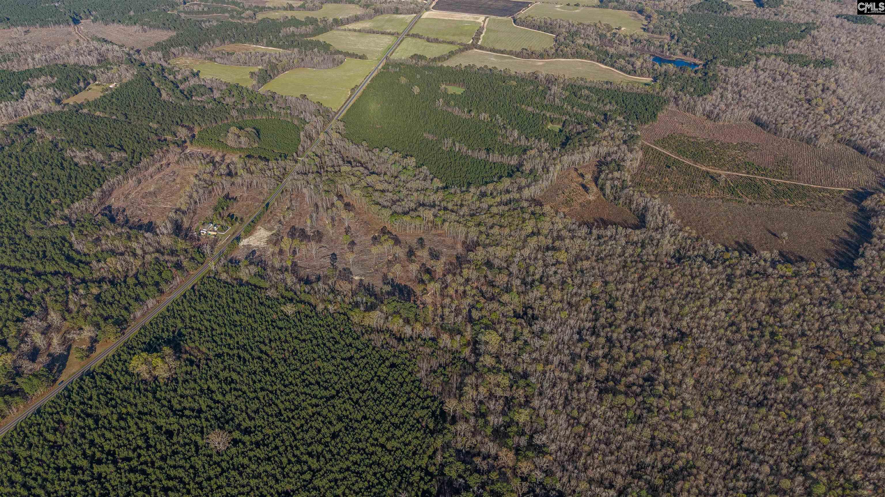 1856 River Road Greeleyville, SC 29056 - Photo 25 of 31