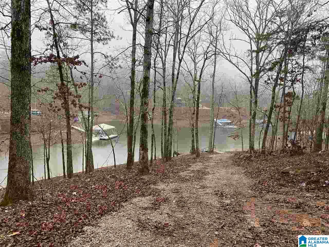 804 County Road, Unit 147 Wedowee, AL 36278 - Photo 1 of 1