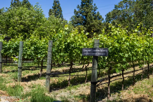 a view of a back yard