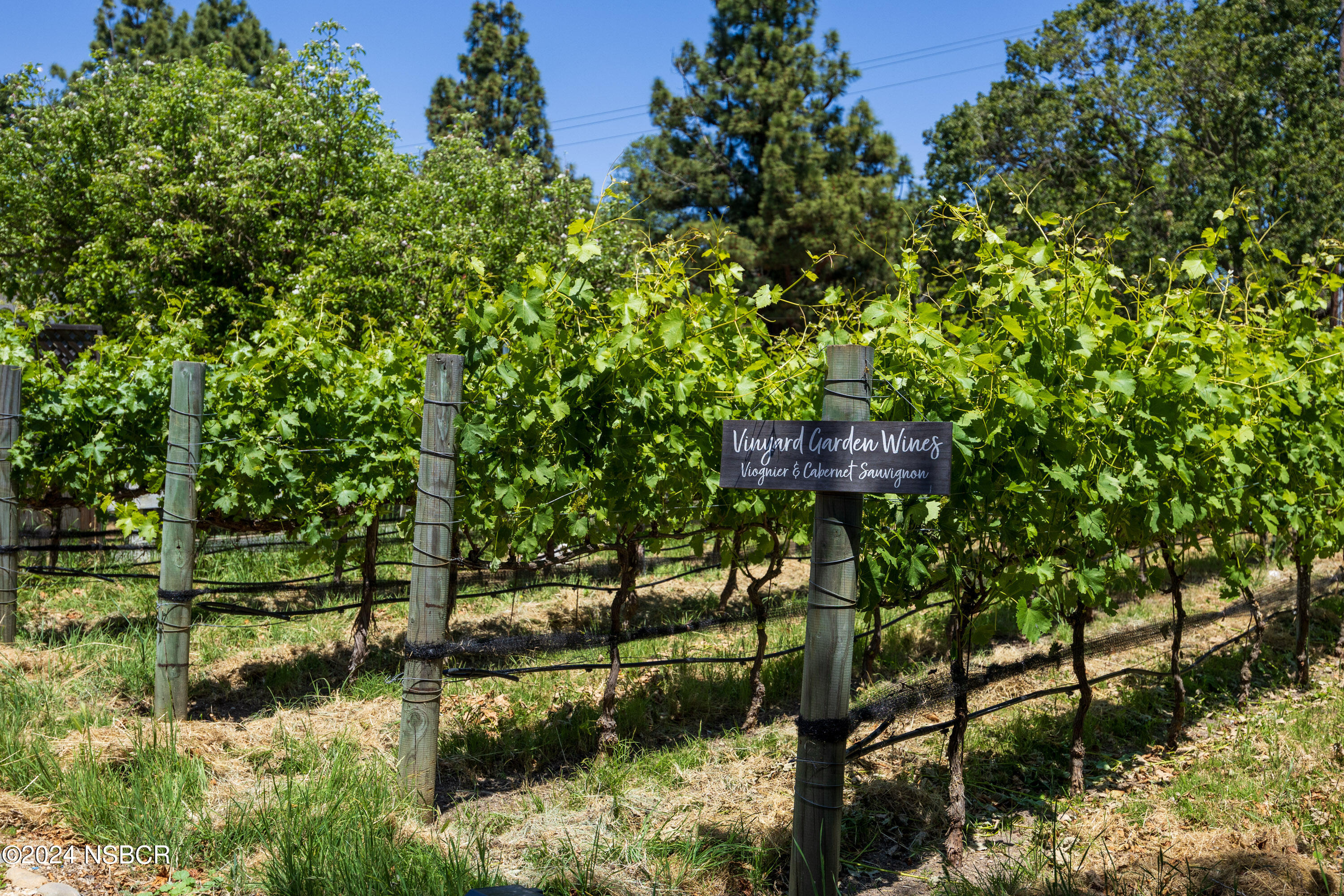 Undisclosed Address Santa Ynez, CA 93460 - Photo 30 of 43 a view of a back yard