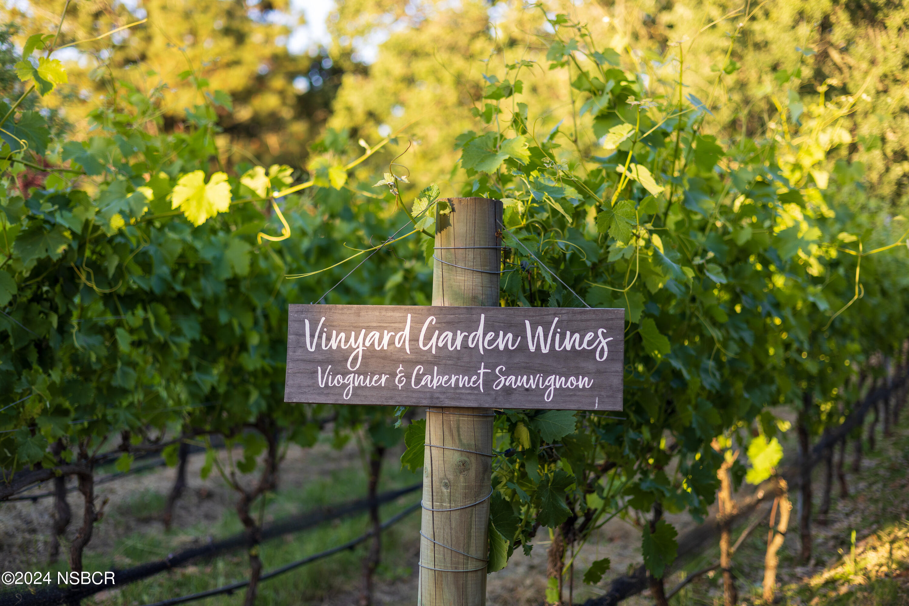 Undisclosed Address Santa Ynez, CA 93460 - Photo 35 of 43 a sign broad in front of the tree