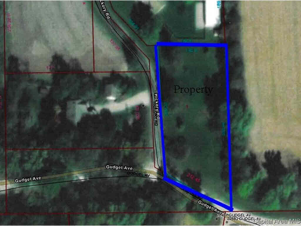 Lot 1 Hickory Road Athens, IL 62613 - Photo 1 of 1 Gallery Image 1