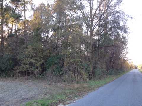 4 Huff Road St. George, SC 29477 - Photo 1 of 2 Primary Photo