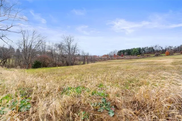 a view of a yard with a house