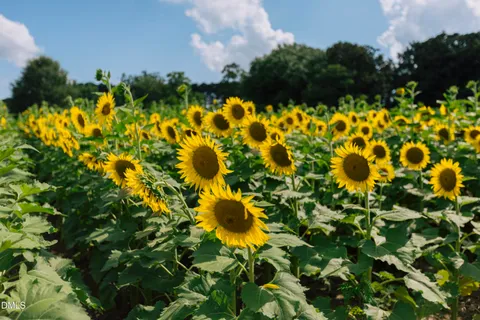 $825,000 | 320 South Tarboro Street, Raleigh, NC 27610