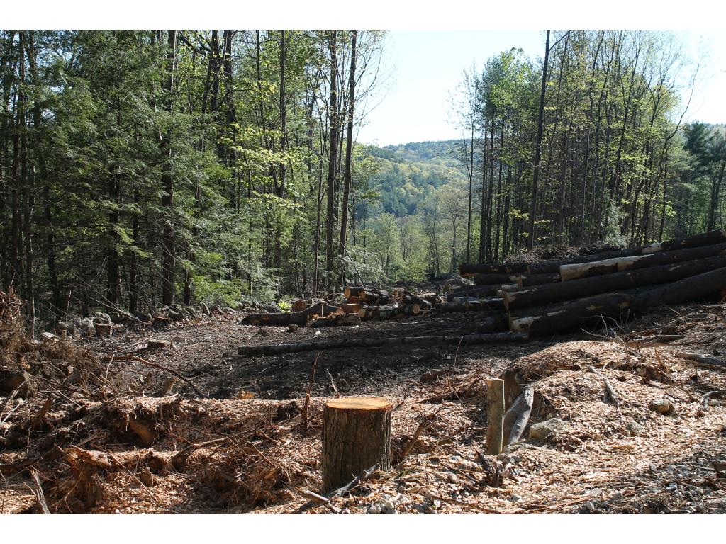 Lot 98-2 Mccollum Road New Boston, NH 03070 - Photo 3 of 12 Gallery Image 3