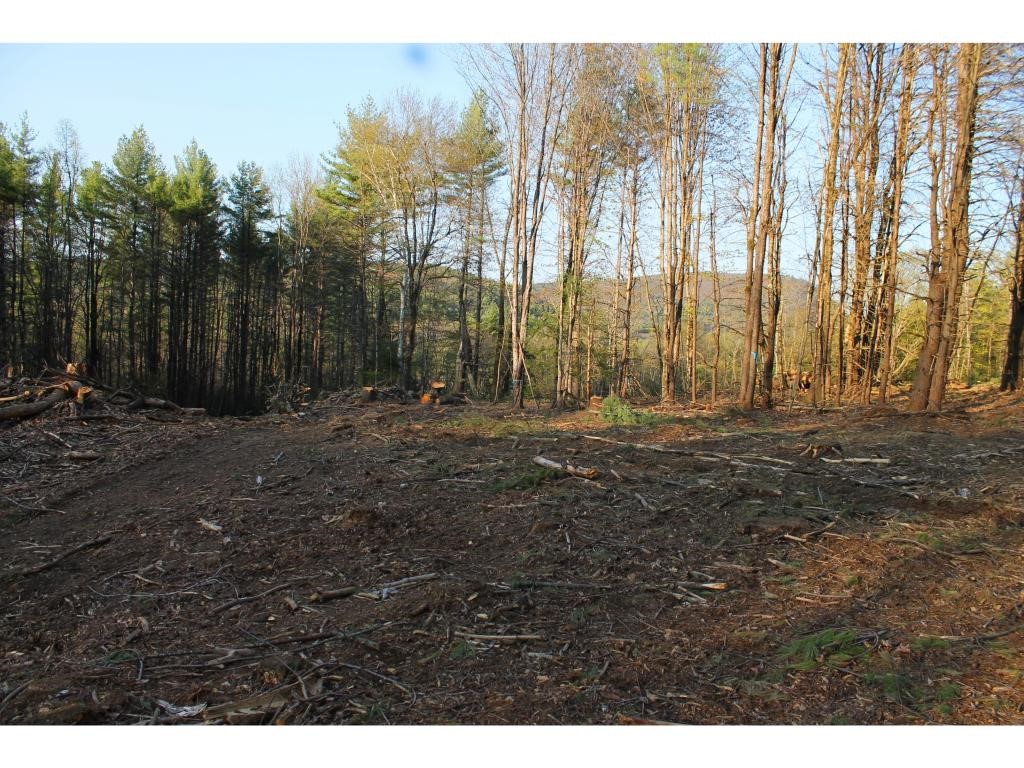 Lot 98-2 Mccollum Road New Boston, NH 03070 - Photo 4 of 12 Gallery Image 4