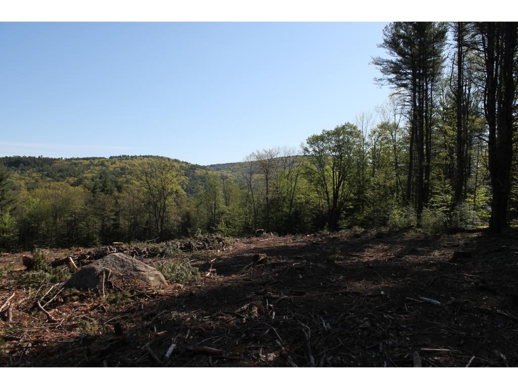 Lot 98-2 Mccollum Road New Boston, NH 03070 - Photo 5 of 12 Gallery Image 5