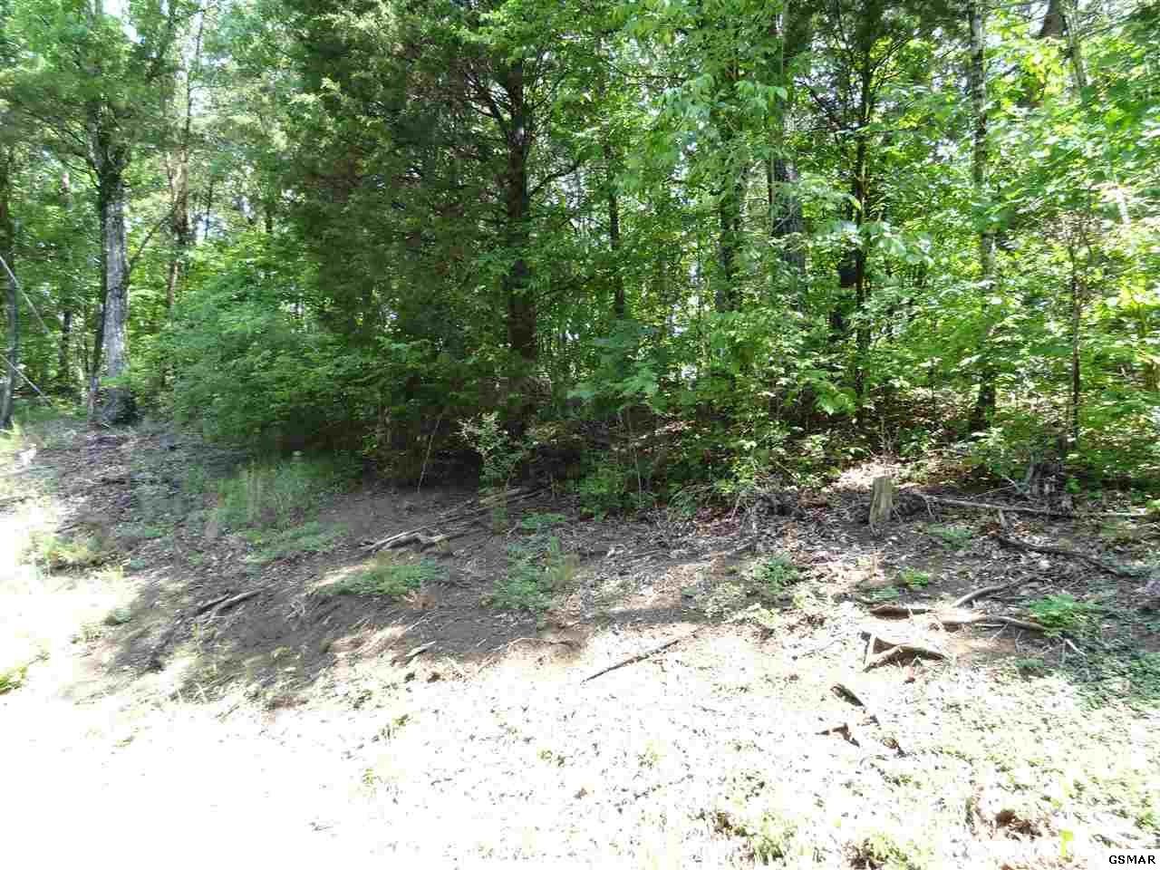 0 Kerr Road Sevierville, TN 37876 - Photo 10 of 11