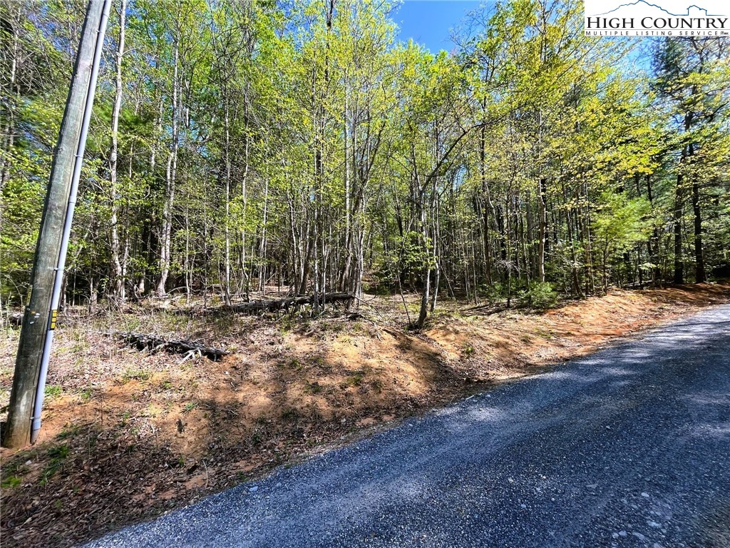 Hp-26 Lost Ridge Road Lenoir, NC 28645 - Photo 3 of 7 Gallery Image 3