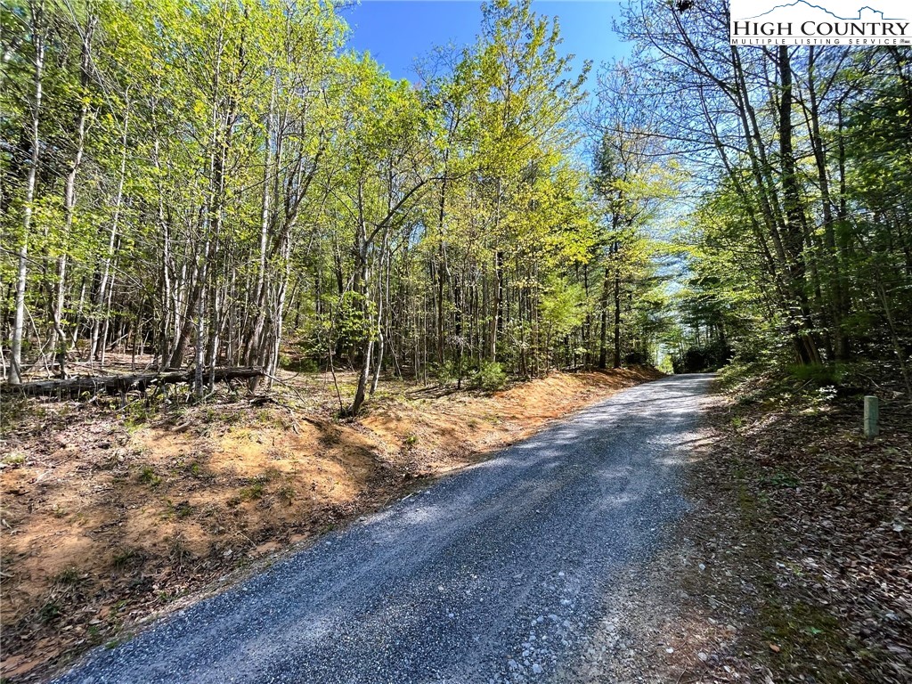 Hp-26 Lost Ridge Road Lenoir, NC 28645 - Photo 4 of 7 Gallery Image 4