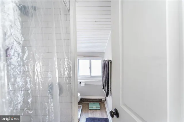 a view of a garden with a chair