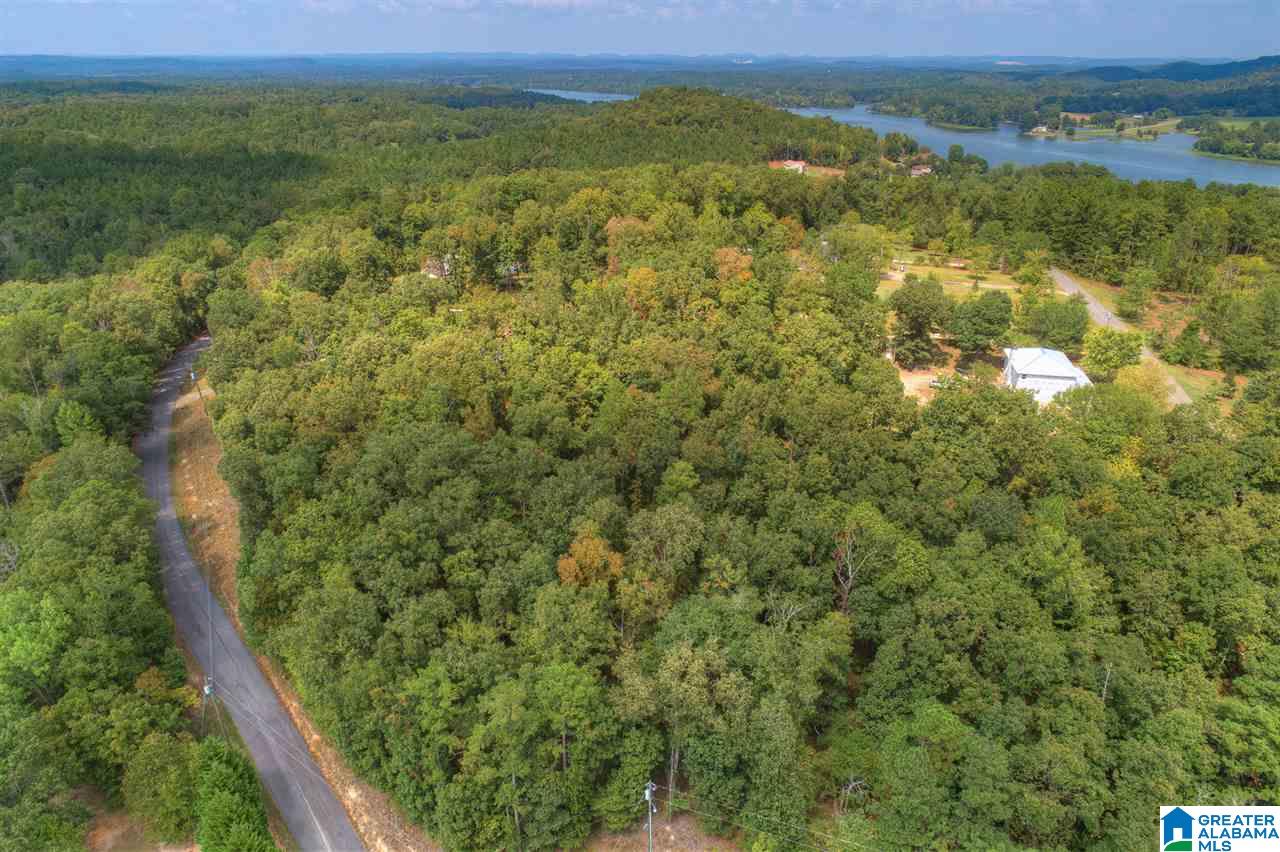 4 Road Riverside Al, Unit 21 Pell City, AL 35125 - Photo 2 of 6