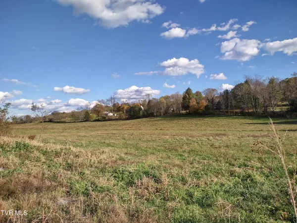 $88,650 | Tbd Springfield Drive, Meadowview, VA 24361