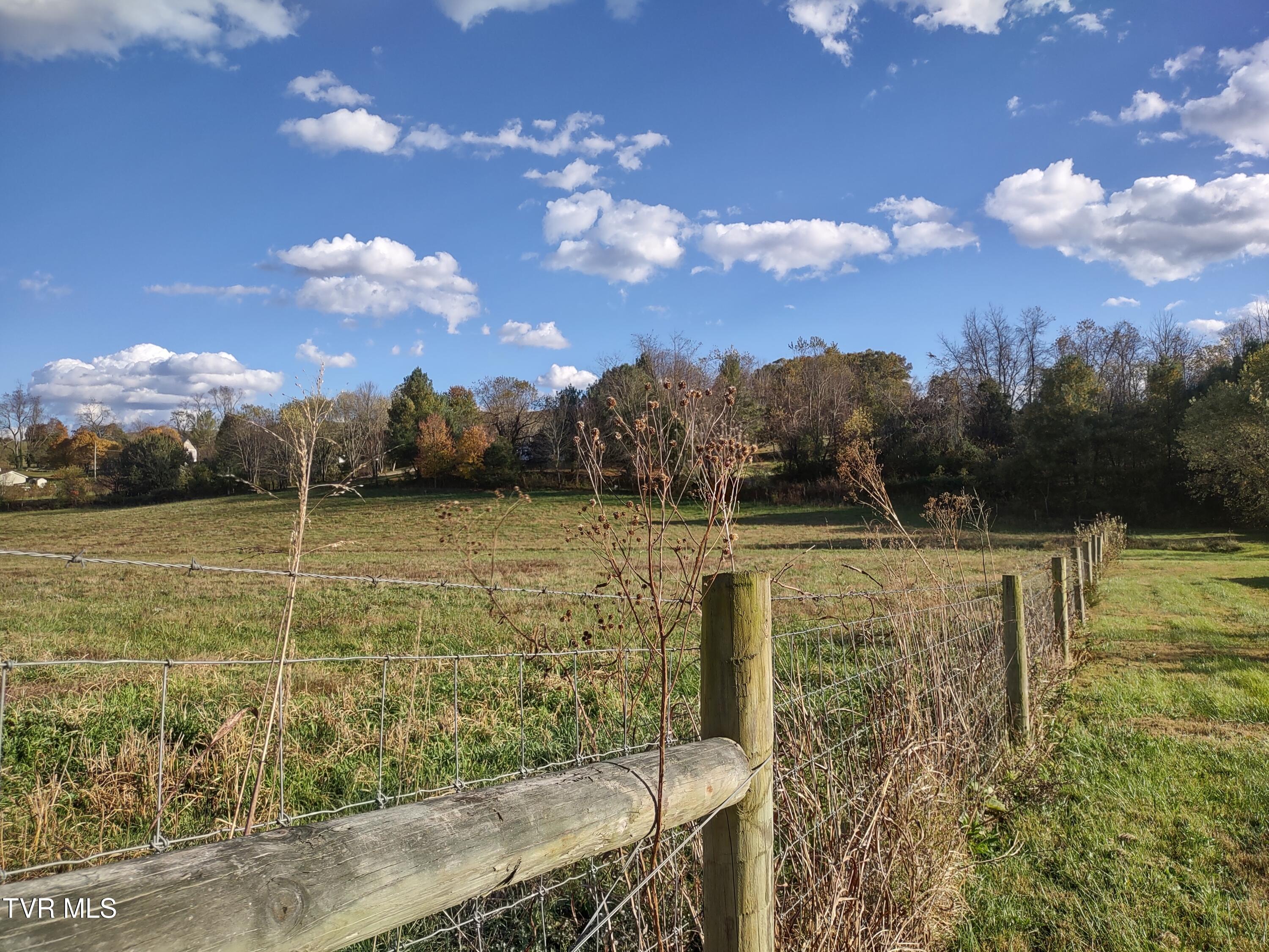 Tbd Springfield Drive Meadowview, VA 24361 - Photo 2 of 15 *