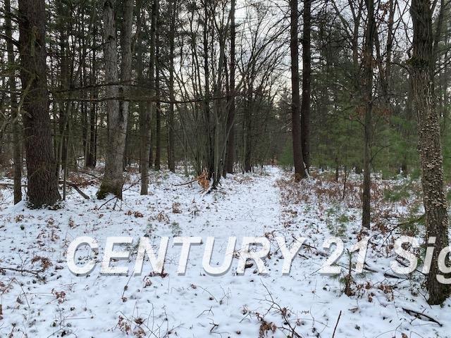 0 West Wackerly Road Sanford, MI 48657 - Photo 14 of 19