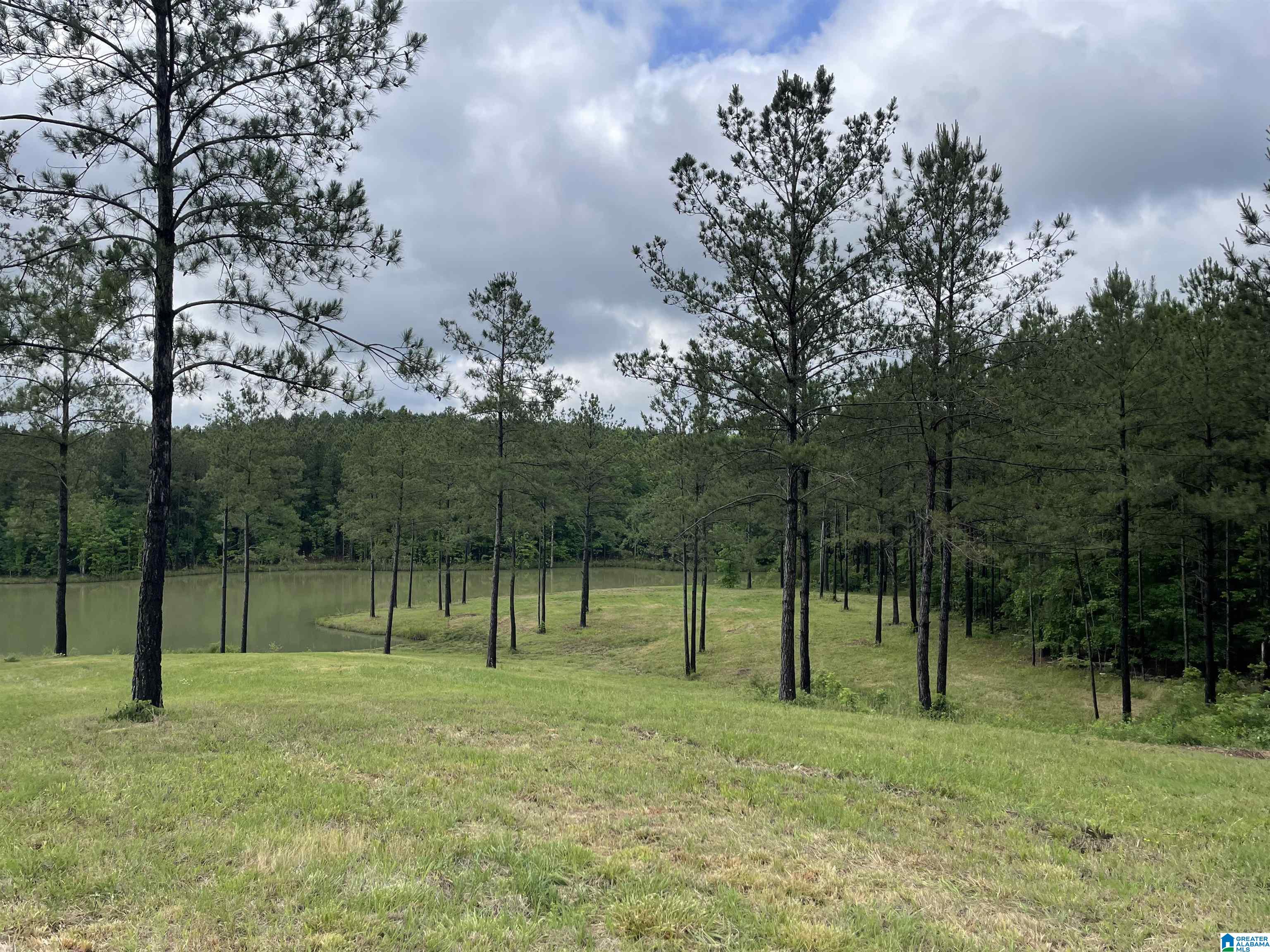 0 Chelsea Farms Road, Unit 24 Chelsea, AL 35043 - Photo 3 of 37