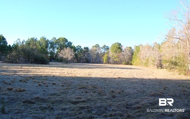 12050 Mary Ann Bch Road Fairhope, AL 36532 - Photo 9 of 44