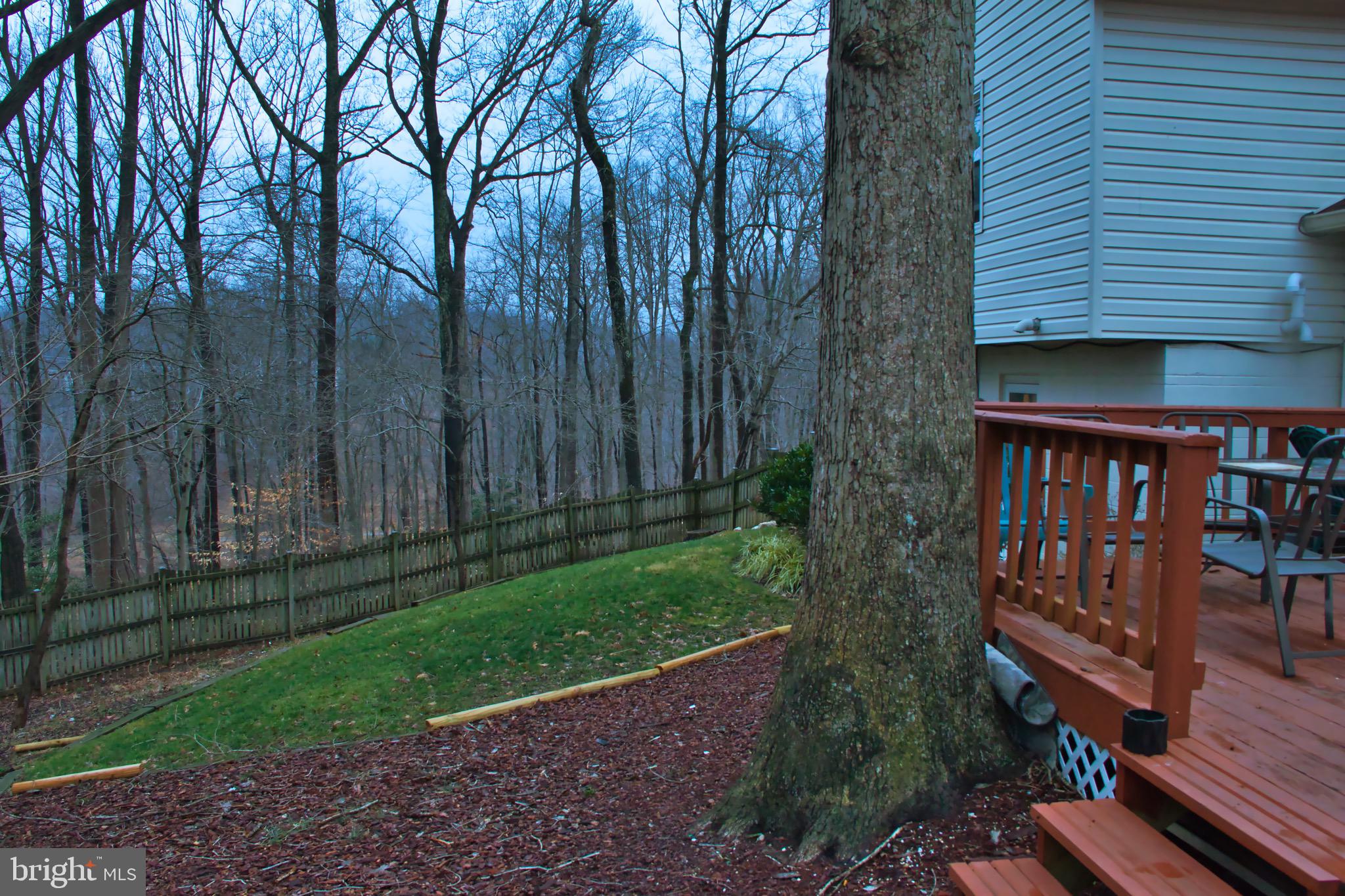 8107 Kings Point Court Springfield, VA 22153 - Photo 7 of 21 Gallery Image 7