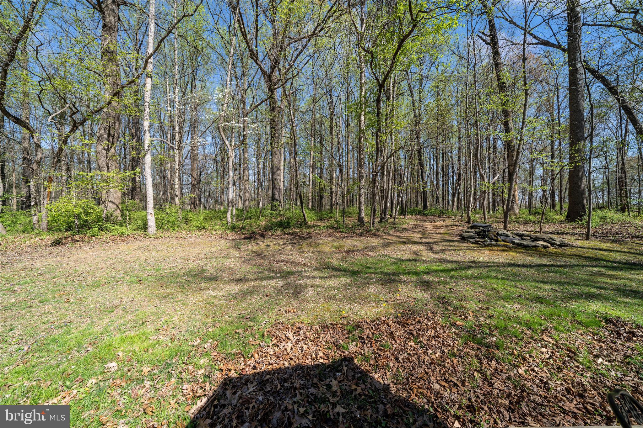 15211 Avery Road Rockville, MD 20855 - Photo 54 of 60 a backyard of a house with lots of green space