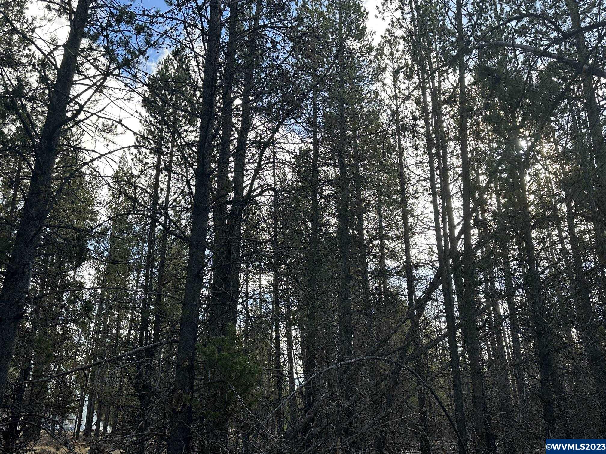 Split Rail Road La Pine, OR 97739 - Photo 6 of 26 Gallery Image 6