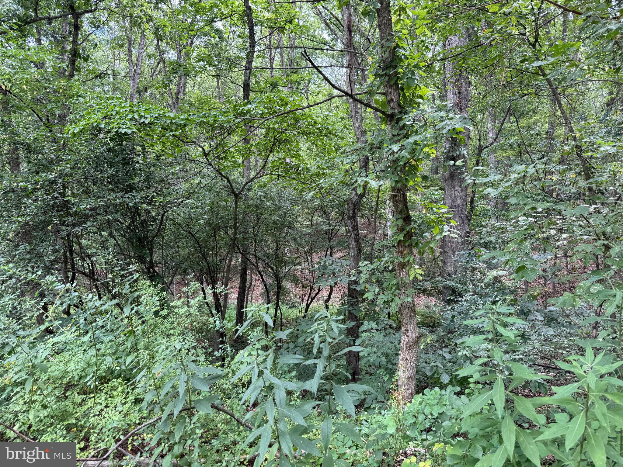 8.34 Arnold Stickley Road Green Spring, WV 26722 - Photo 2 of 6 Gallery Image 2