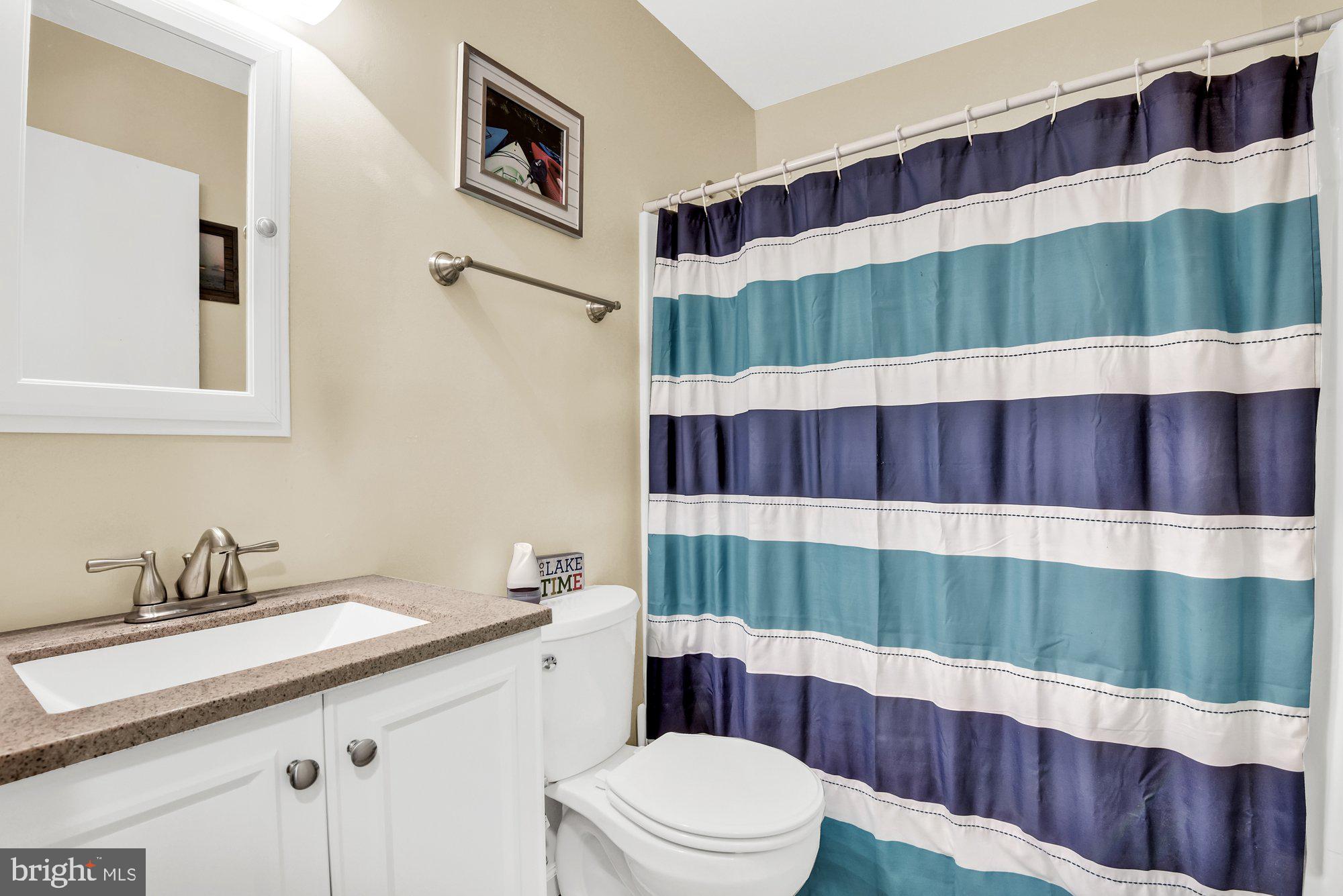 806 Uniontown Road Westminster, MD 21158 - Photo 9 of 10 a bathroom with a sink a toilet and shower curtain