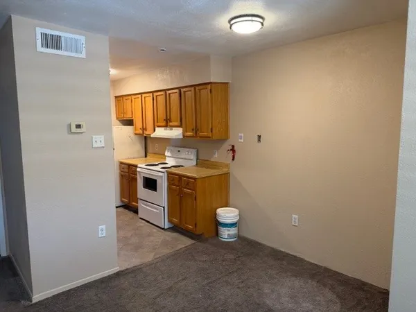 a kitchen with a stove a sink and a refrigerator