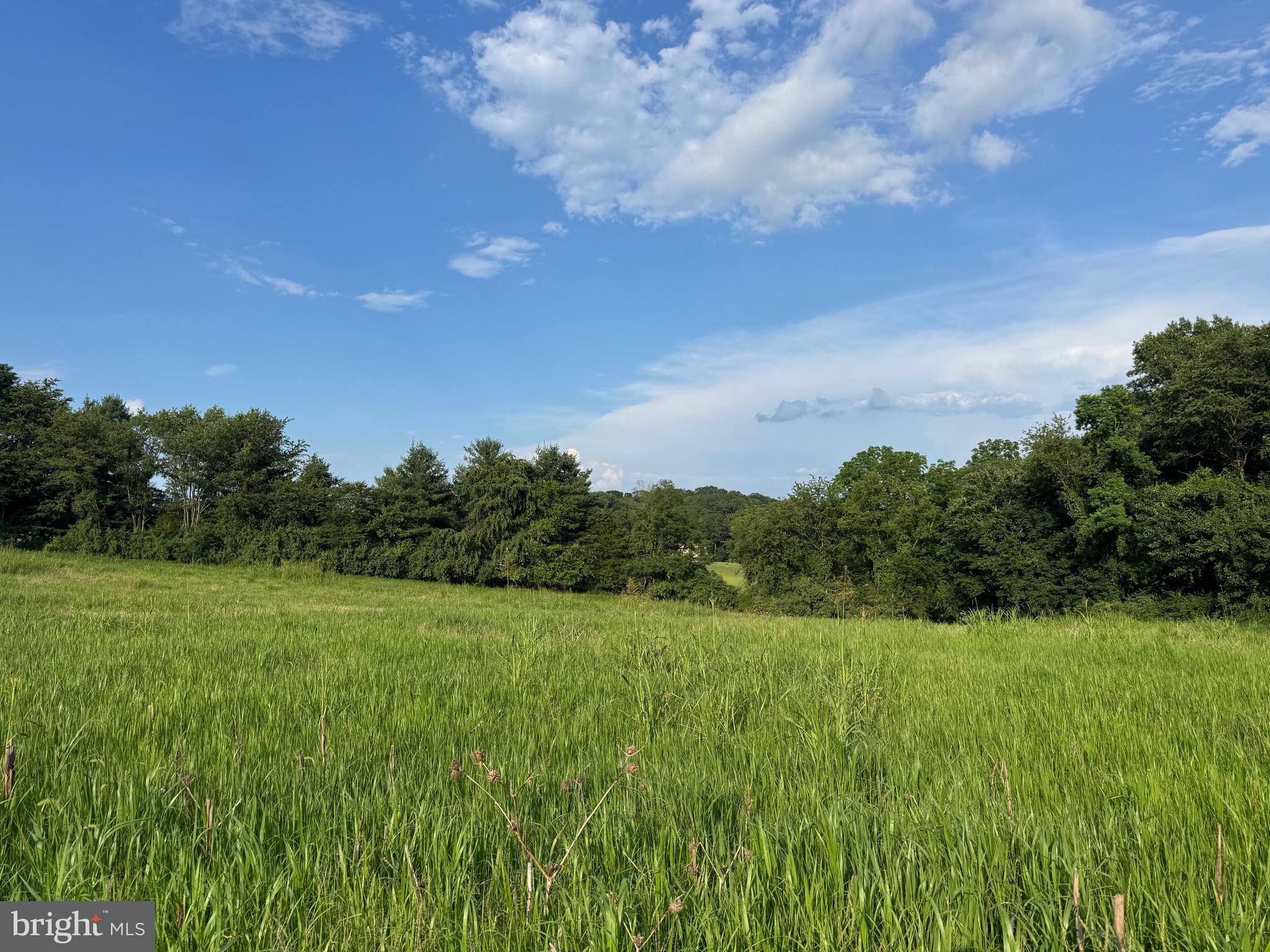 1701 Green Mill Road Finksburg, MD 21048 - Photo 16 of 85