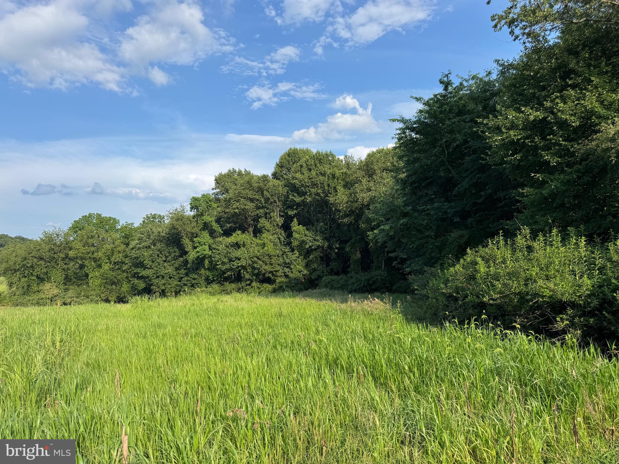 1701 Green Mill Road Finksburg, MD 21048 - Photo 18 of 85