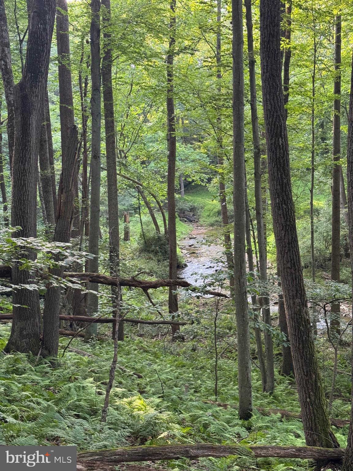 1701 Green Mill Road Finksburg, MD 21048 - Photo 20 of 85