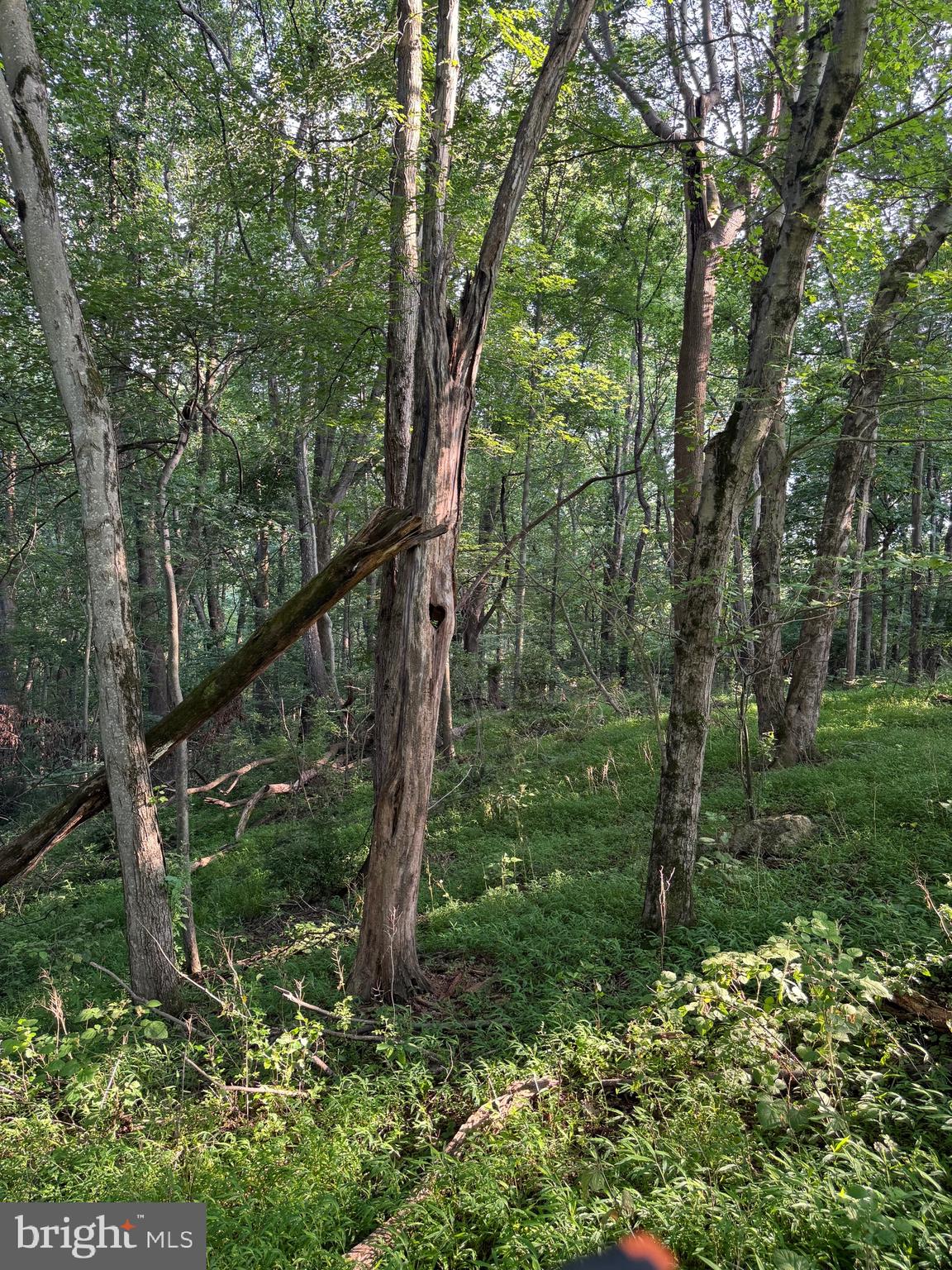 1701 Green Mill Road Finksburg, MD 21048 - Photo 25 of 85