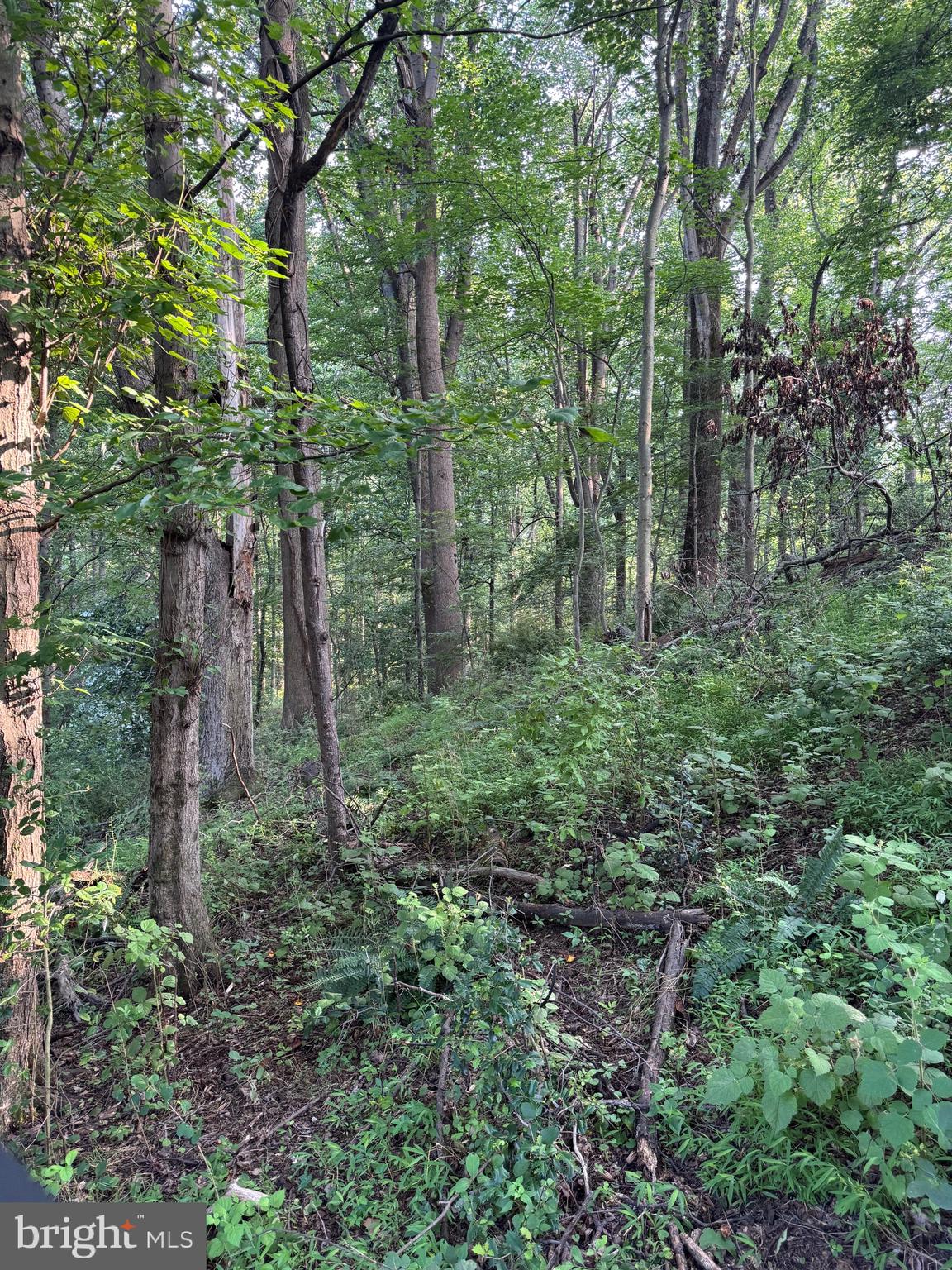 1701 Green Mill Road Finksburg, MD 21048 - Photo 26 of 85