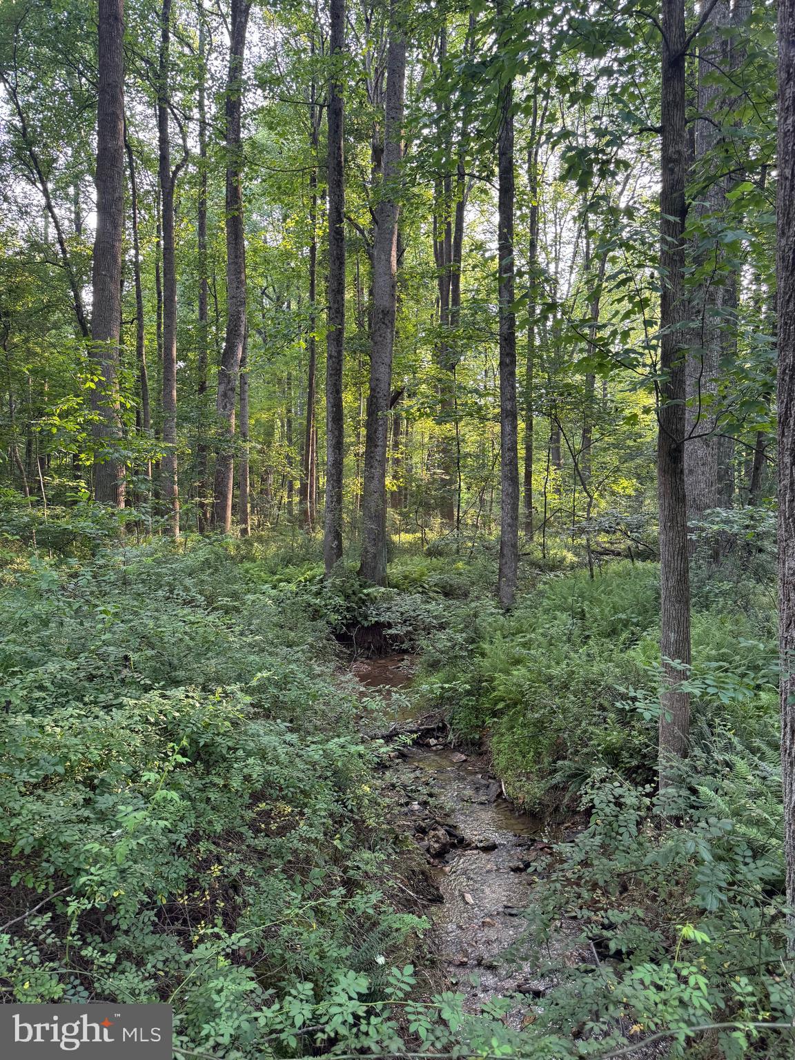 1701 Green Mill Road Finksburg, MD 21048 - Photo 34 of 85