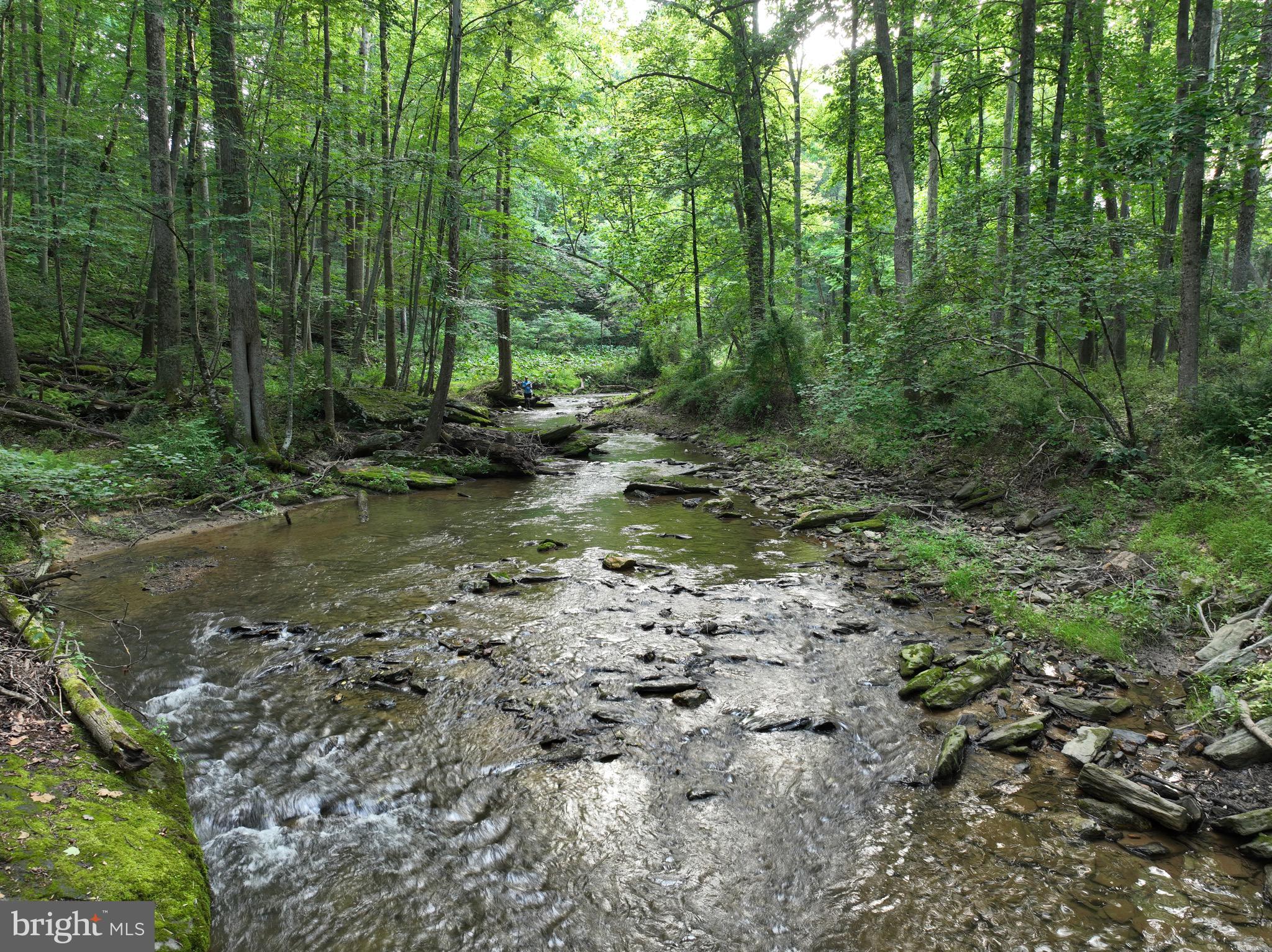 1701 Green Mill Road Finksburg, MD 21048 - Photo 35 of 85