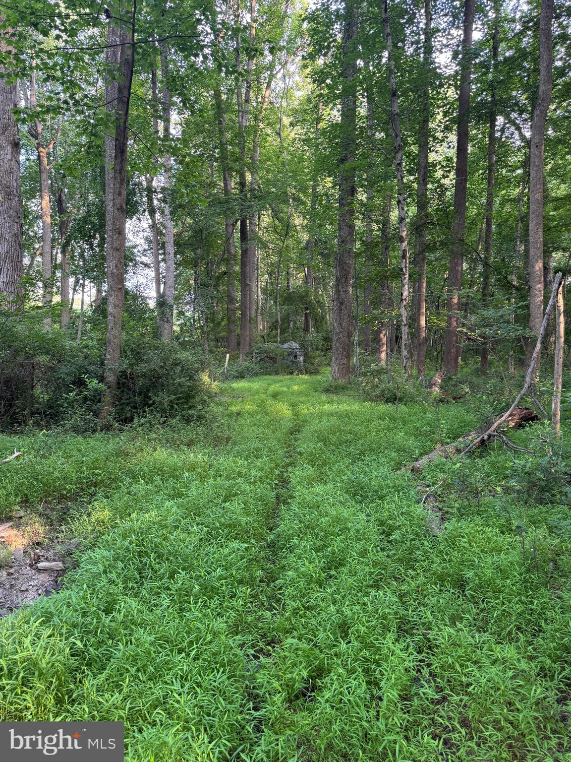 1701 Green Mill Road Finksburg, MD 21048 - Photo 36 of 85