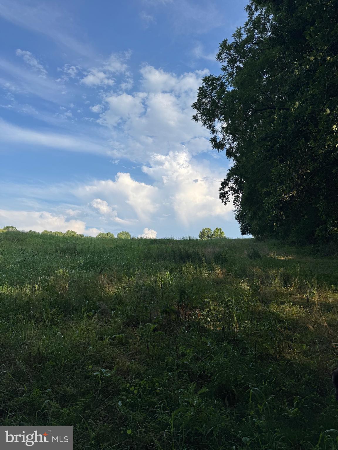 1701 Green Mill Road Finksburg, MD 21048 - Photo 44 of 85