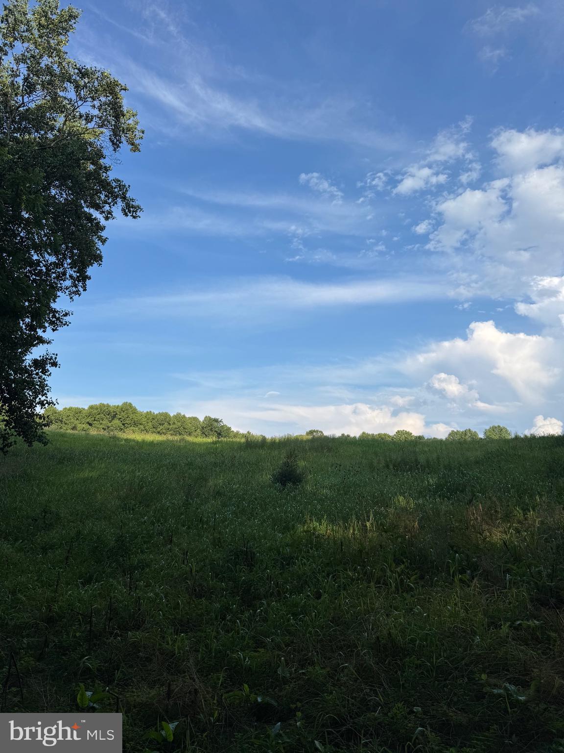 1701 Green Mill Road Finksburg, MD 21048 - Photo 46 of 85