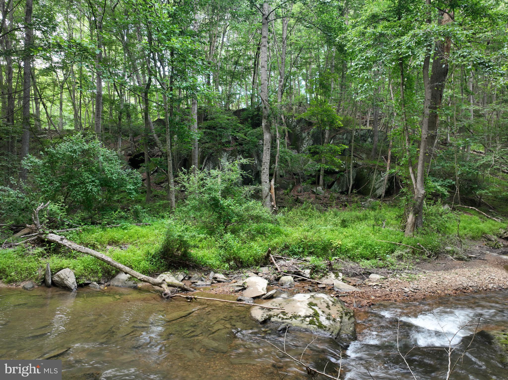 1701 Green Mill Road Finksburg, MD 21048 - Photo 47 of 85