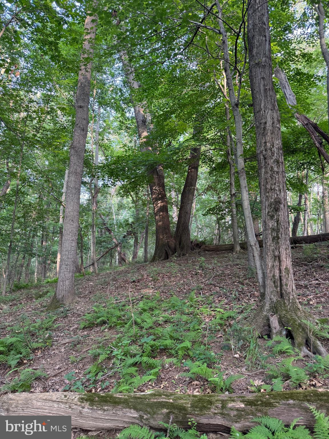 1701 Green Mill Road Finksburg, MD 21048 - Photo 48 of 85