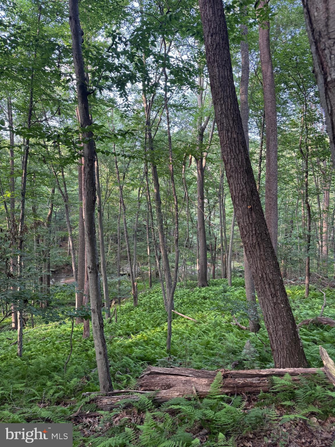 1701 Green Mill Road Finksburg, MD 21048 - Photo 51 of 85