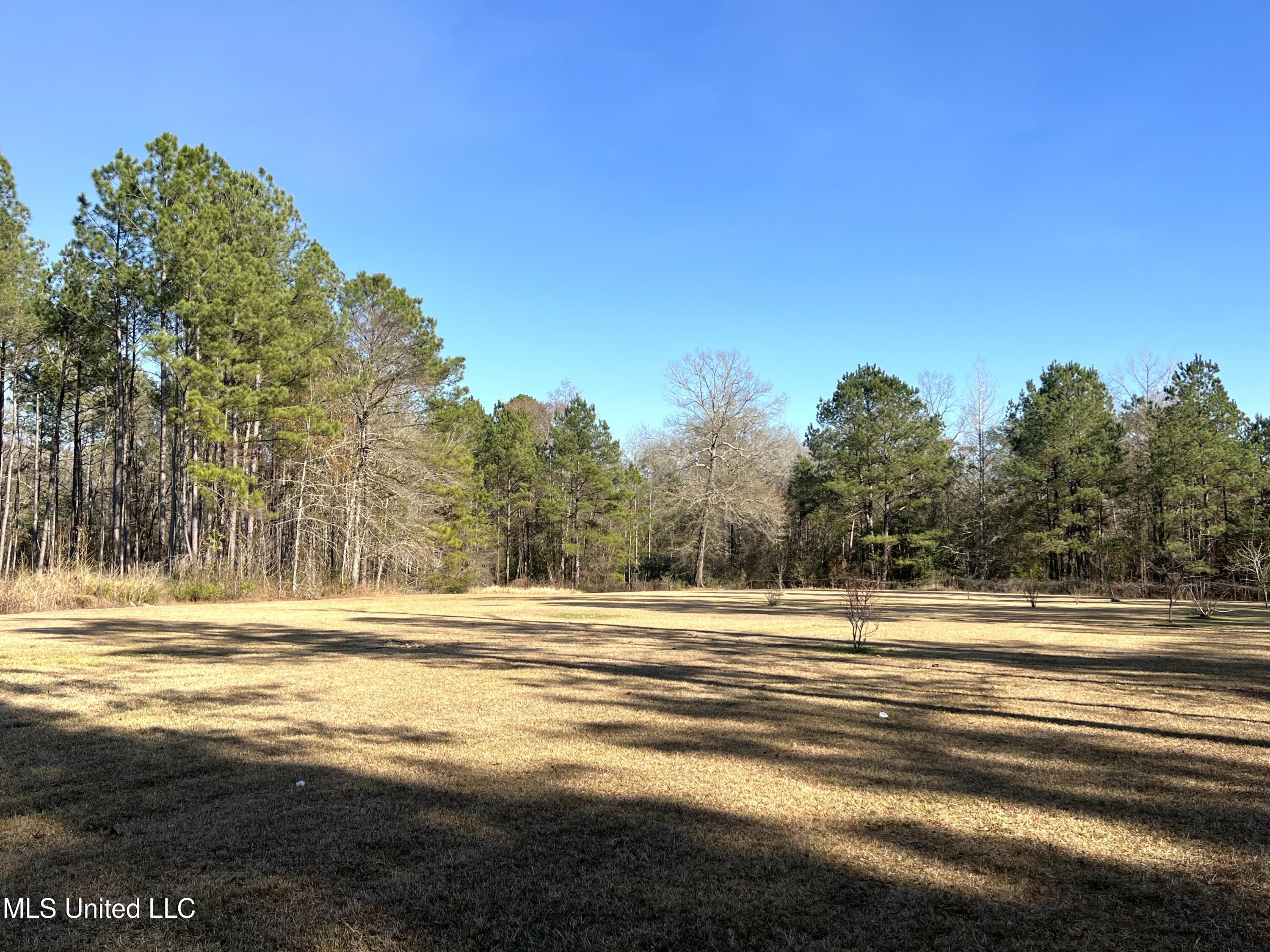1185 Holden Road Poplarville, MS 39470 - Photo 18 of 21 Side yard
