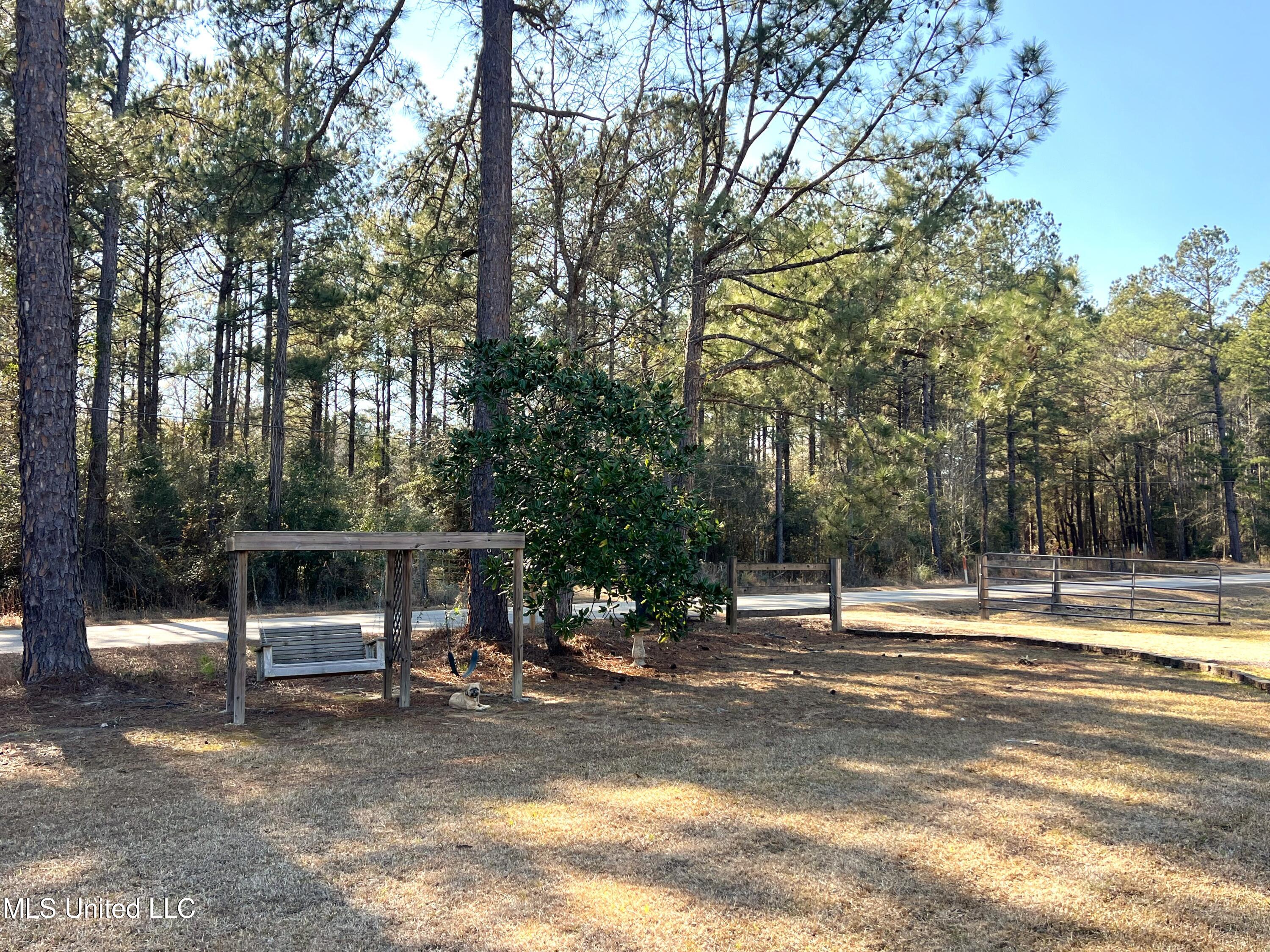1185 Holden Road Poplarville, MS 39470 - Photo 19 of 21 Swing and Driveway entrance