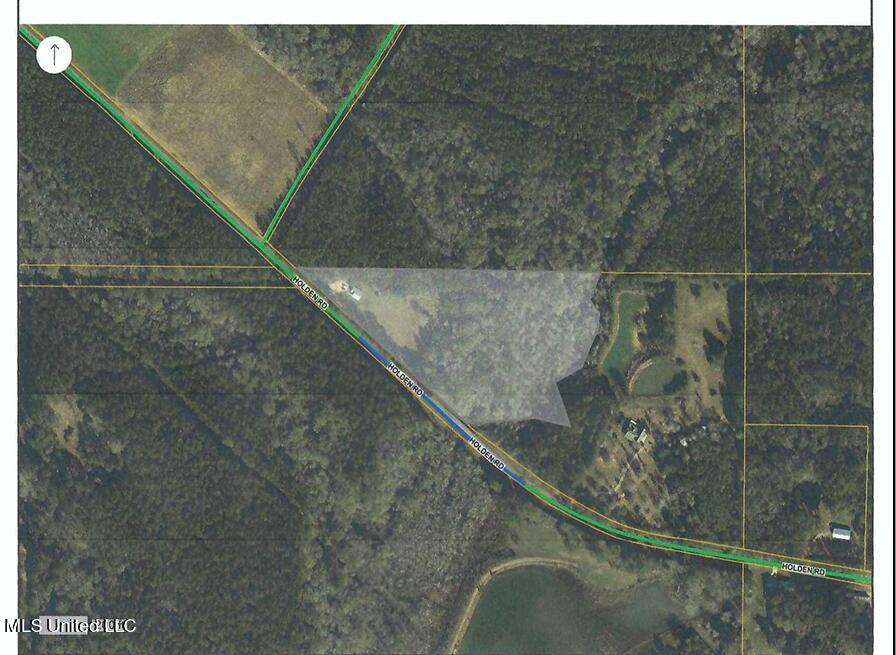 1185 Holden Road Poplarville, MS 39470 - Photo 20 of 21 Areal View of property