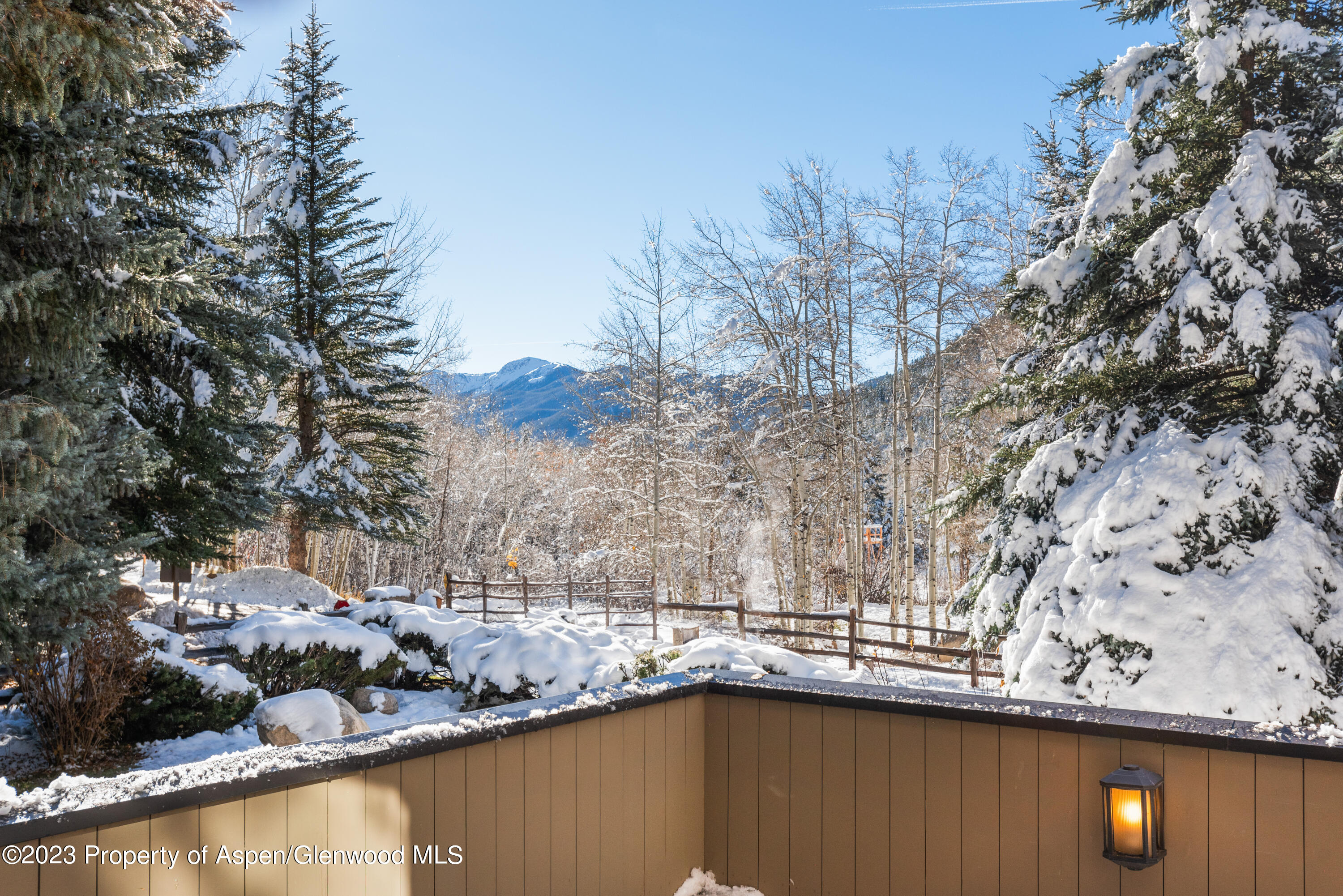 1436 Crystal Lake Road, Unit 4B Aspen, CO 81611 - Photo 3 of 22 a view of swimming pool from a lake