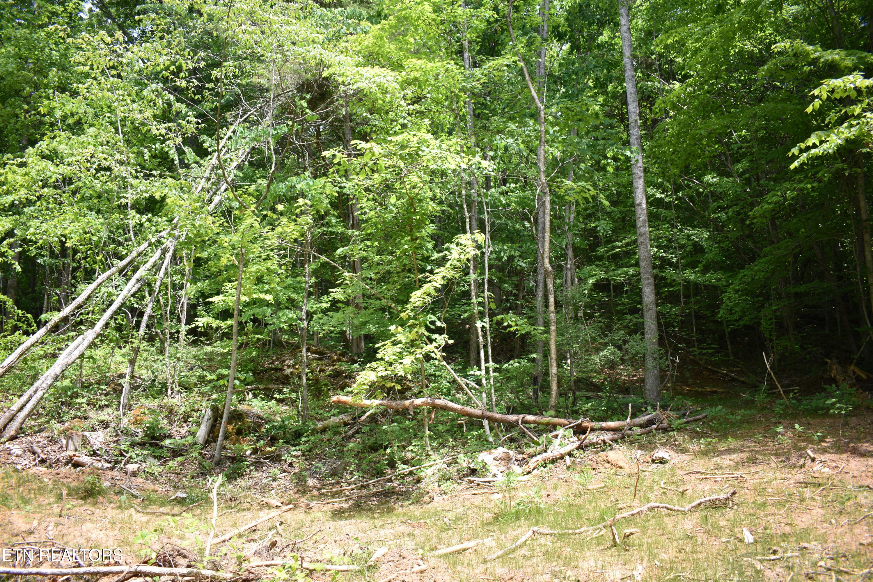 Shady Valley Road Rose Hill, VA 24281 - Photo 23 of 28 DSC_0027
